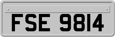 FSE9814