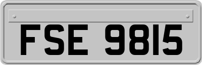 FSE9815