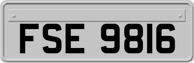 FSE9816