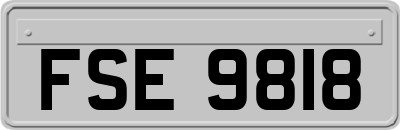 FSE9818