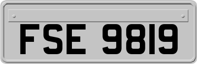 FSE9819