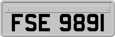 FSE9891