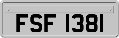FSF1381