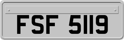 FSF5119