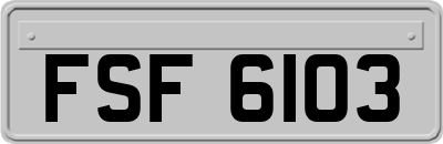 FSF6103