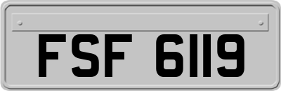 FSF6119