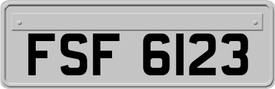 FSF6123