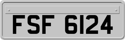 FSF6124