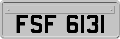 FSF6131