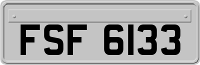 FSF6133