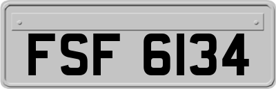 FSF6134