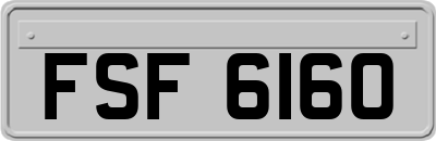 FSF6160