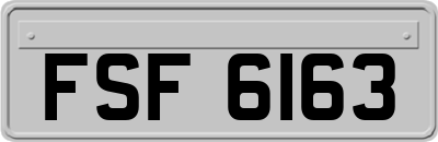 FSF6163