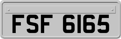 FSF6165