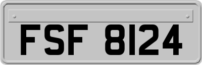 FSF8124