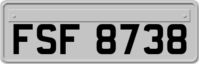 FSF8738