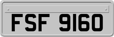 FSF9160