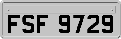 FSF9729
