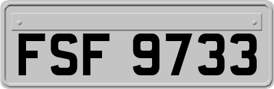 FSF9733