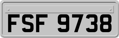 FSF9738