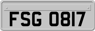 FSG0817