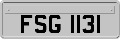 FSG1131