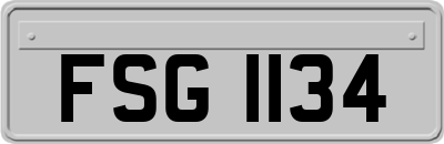 FSG1134
