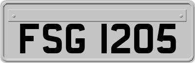 FSG1205