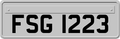 FSG1223
