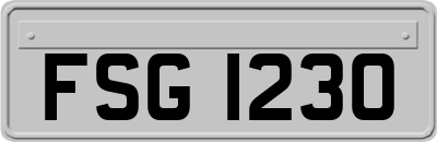 FSG1230