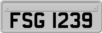 FSG1239