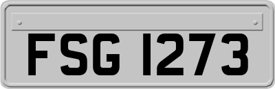 FSG1273