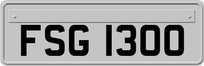 FSG1300