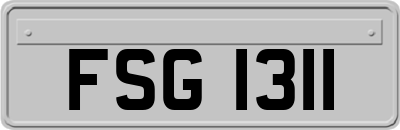 FSG1311