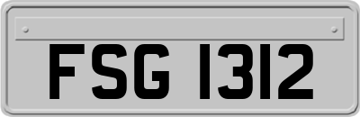 FSG1312