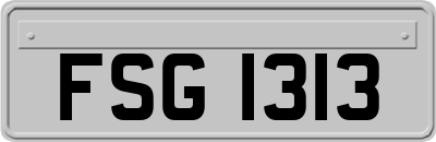 FSG1313