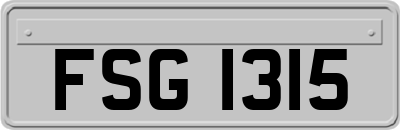 FSG1315