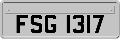 FSG1317