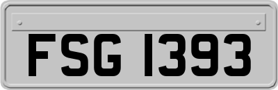 FSG1393