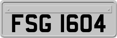 FSG1604