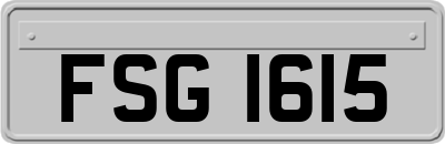 FSG1615