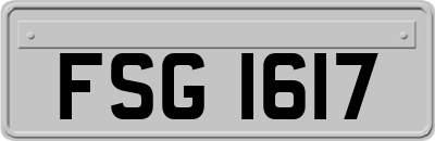FSG1617