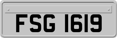 FSG1619