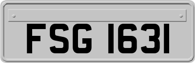 FSG1631