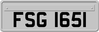 FSG1651
