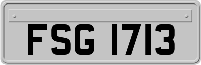 FSG1713