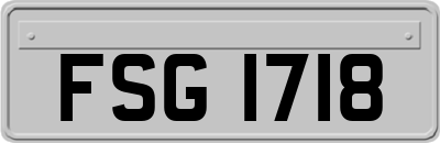 FSG1718