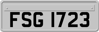 FSG1723