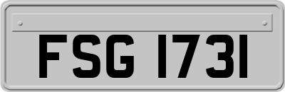 FSG1731