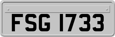 FSG1733